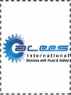 ALEES INTERNATIONAL
