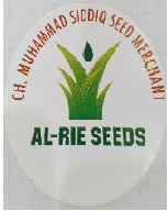 AL-RIE SEEDS (RAIL BAZAR WALAY)