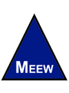 MEEW INTERNATIONAL