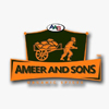 AMEER AND SONS