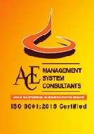 ACE MANAGEMENT SYSTEM CONSULTANTS