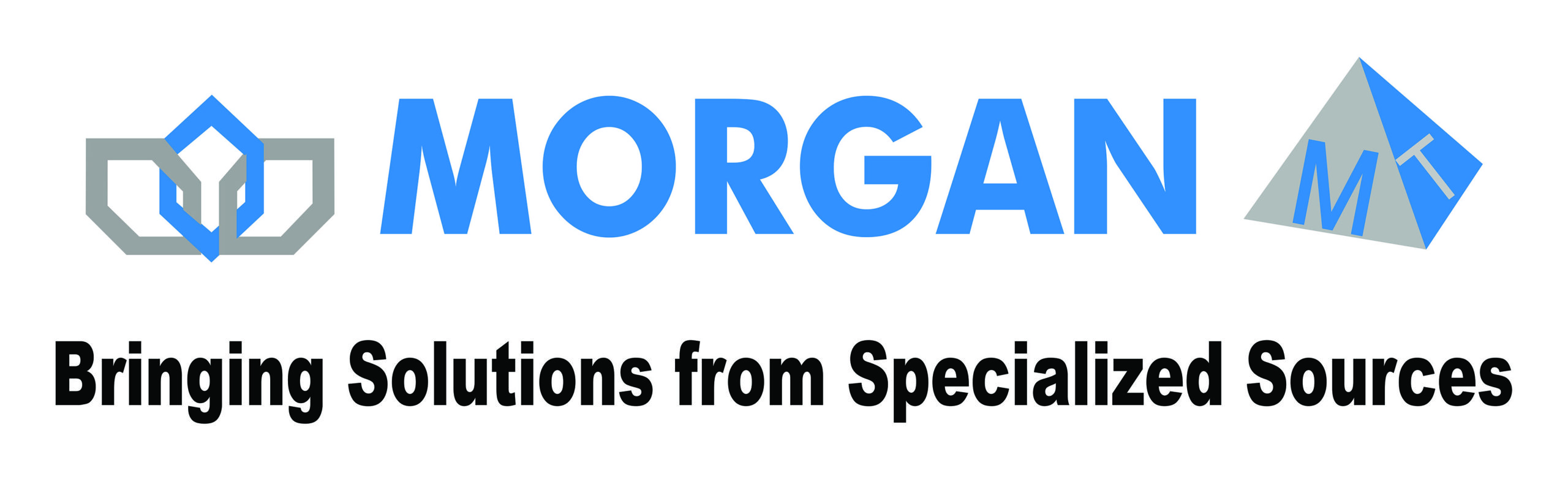 MORGAN CHEMICALS