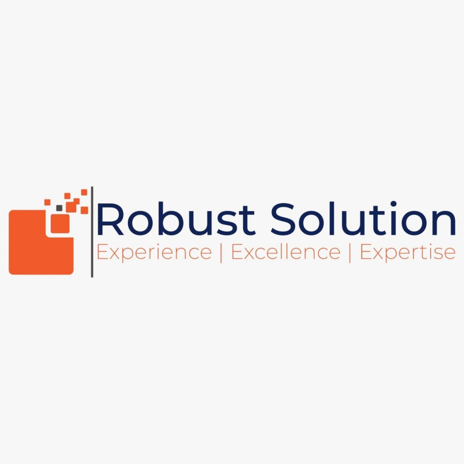 Robust Solution.pk
