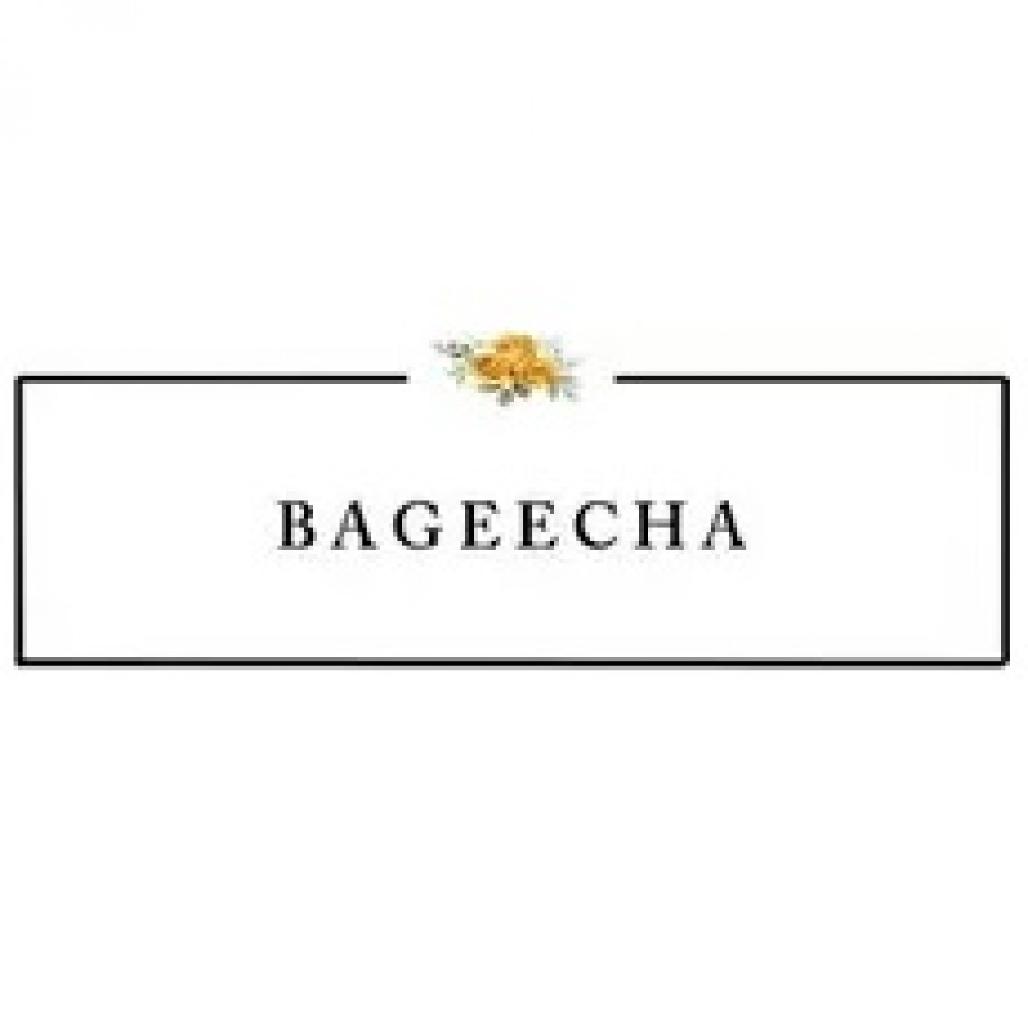 Bageecha