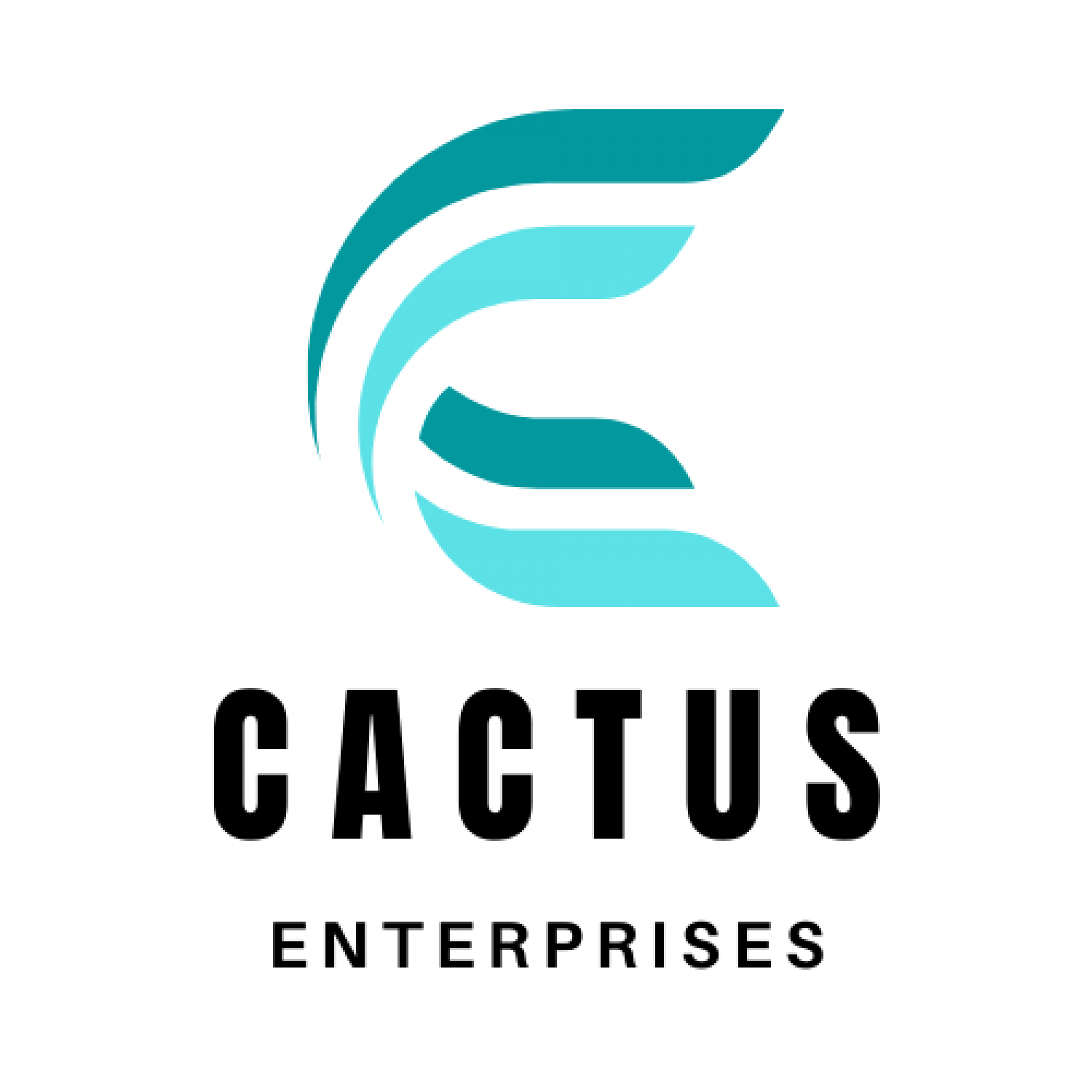CACTUS ENTERPRISES