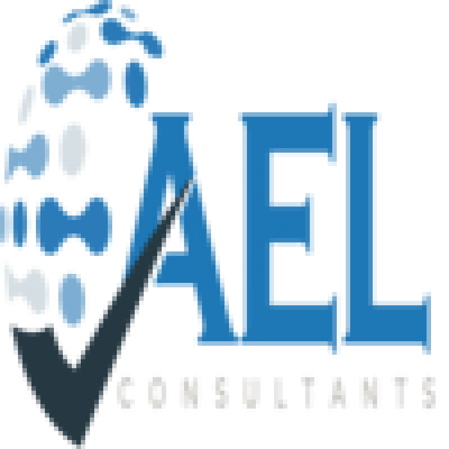 AEL Consultants