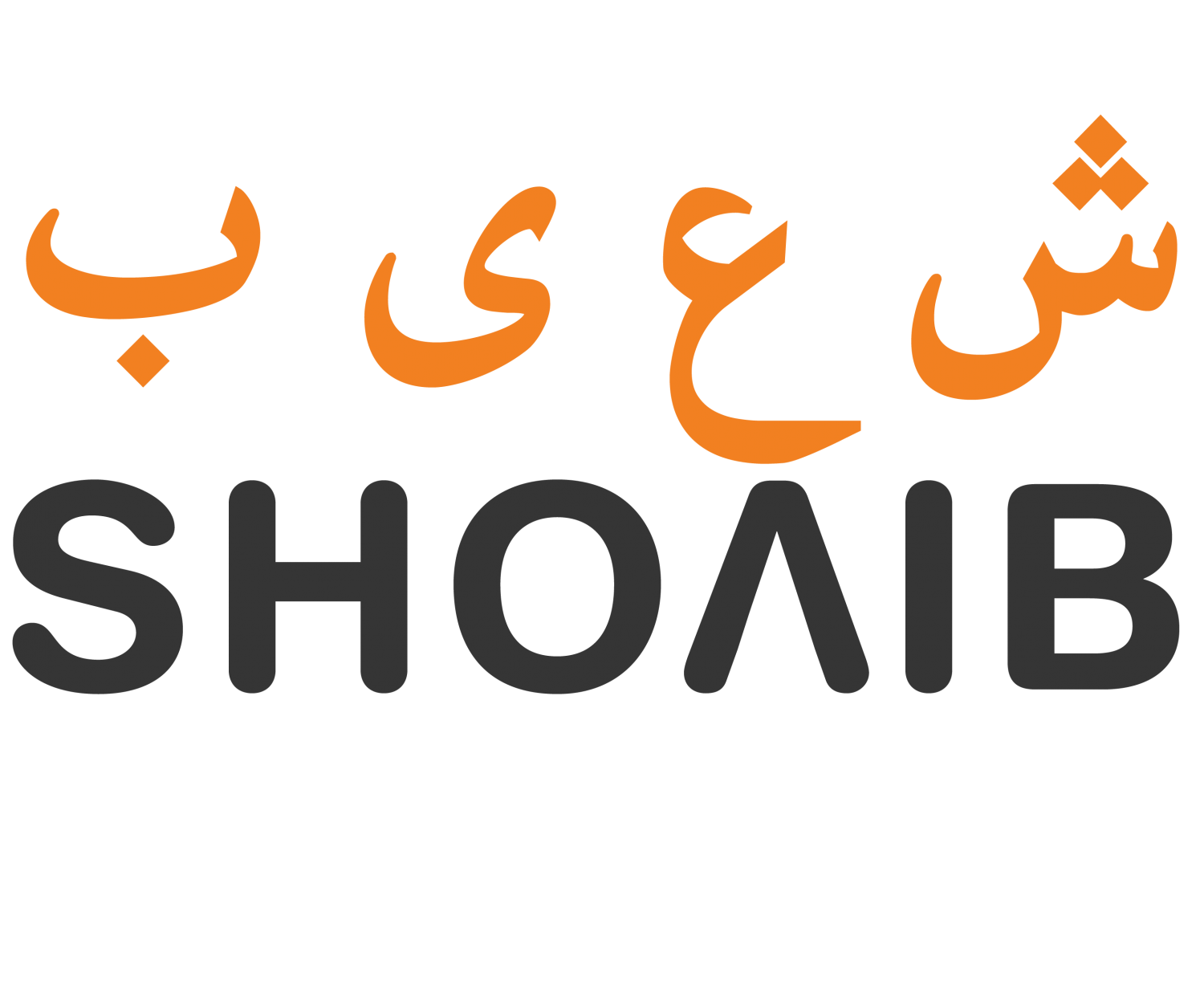 Shoaib Mughal - Digital Marketing Consultant