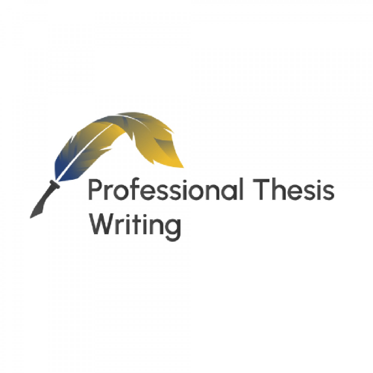 Professional Thesis Writing