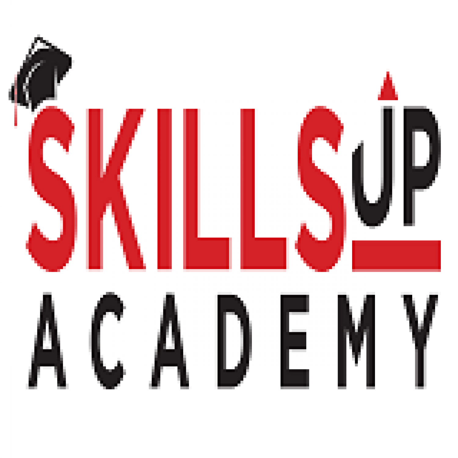 Skills Up Academy