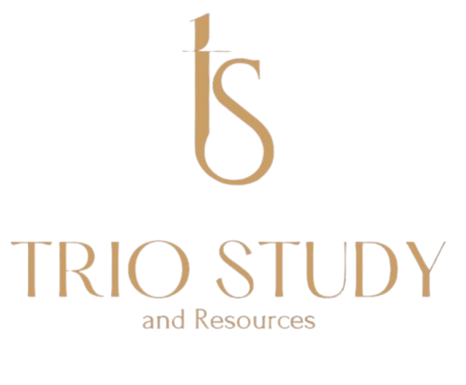 Triostudy Consultants